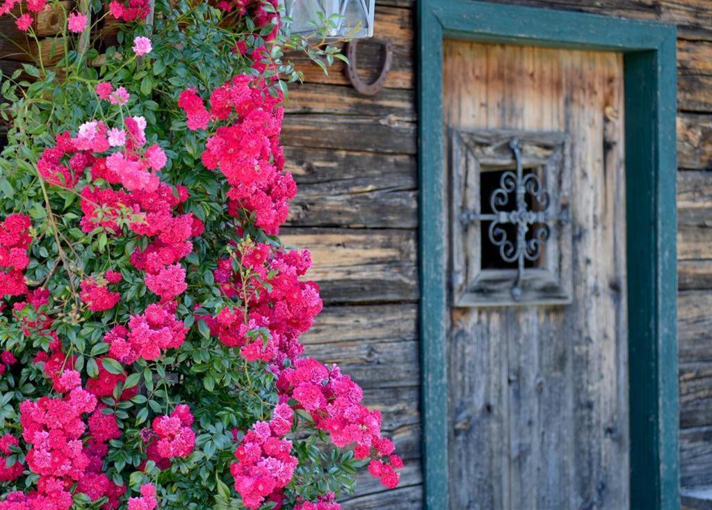 Alpenresidenz Unterrainer Daire Ellmau Dış mekan fotoğraf