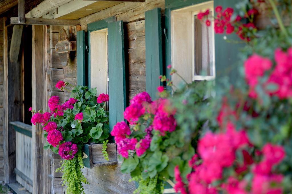 Alpenresidenz Unterrainer Daire Ellmau Dış mekan fotoğraf